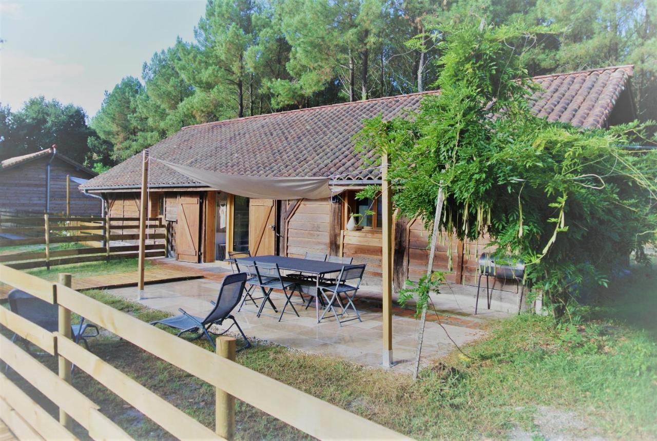 Les Gites Du Grand Chene Saint-Paul-en-Born Εξωτερικό φωτογραφία